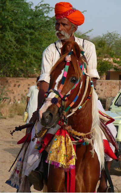 Friends of Marwari / Kathiawari Horse UK